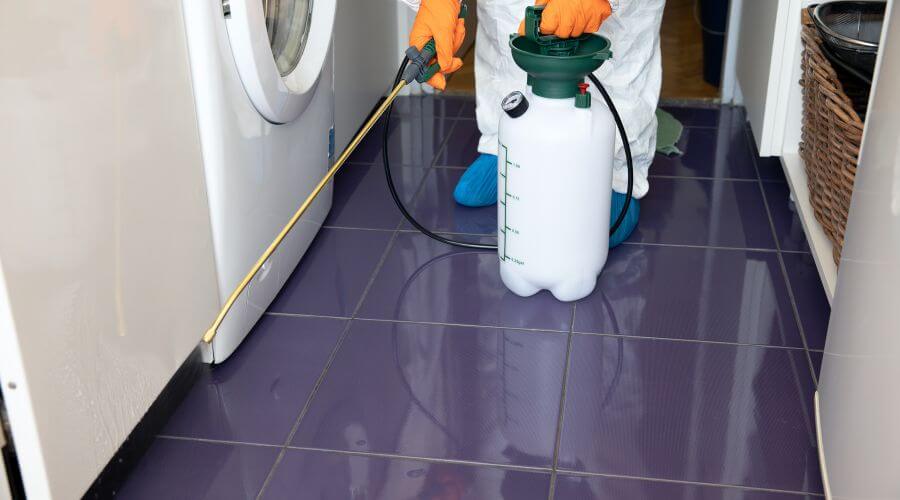 Why choose Office Building Treatments Krum for office building treatments in Krum